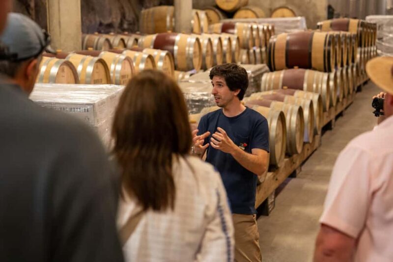 From Porto: Small Group Douro Valley Tour with Wine & Cruise - Who Is This Tour Best For?
