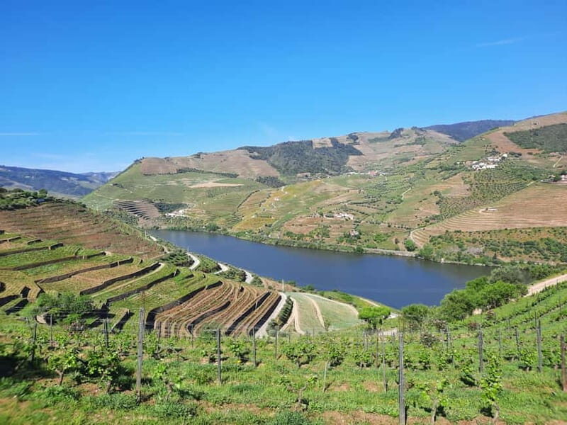 From Porto: small-group guided tour of the Douro Valley and Gerês - Key Points