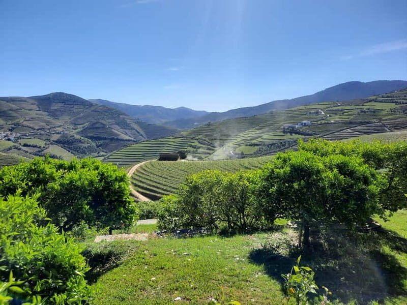 From Porto: small-group guided tour of the Douro Valley and Gerês - Why This Tour Is a Great Choice