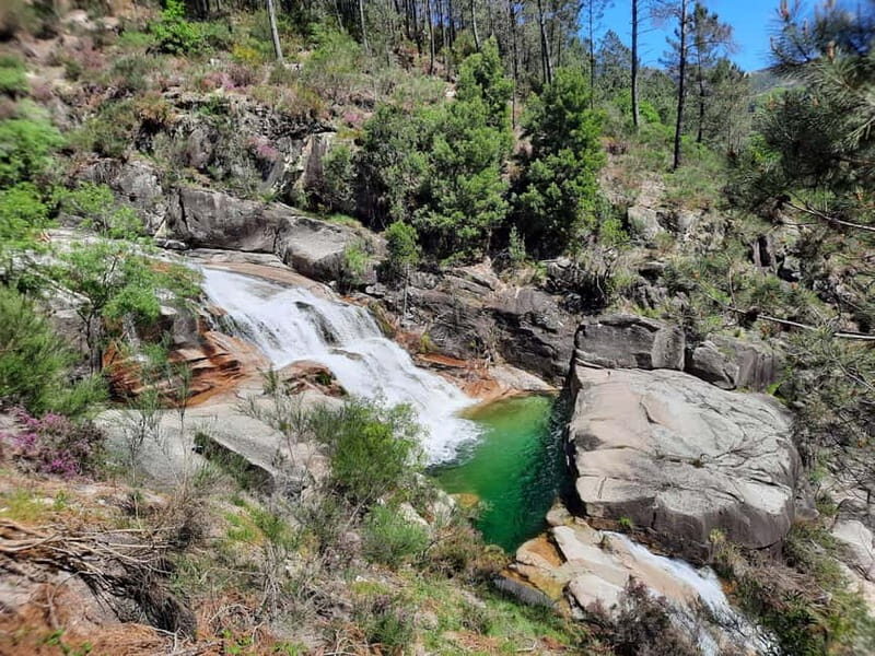 From Porto: small-group guided tour of the Douro Valley and Gerês - Who Will Enjoy This Tour?