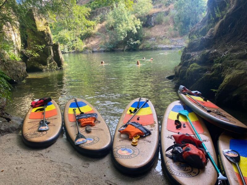 From Porto: SUP Paiva River Tour with Transfer - Exploring the Paiva River Tour: What to Expect