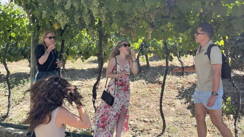 From Porto: Tastings at 2 Wineries, Chef's Lunch & Boat Tour - Who Will Love This Tour?