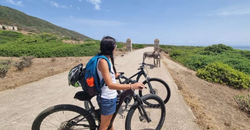 From Porto Torres: E-Bike Rental - Discovering Sardinia’s Asinara Island on Two Wheels