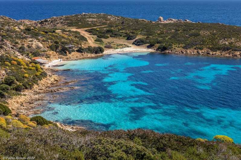 From Porto Torres: electric bicycle rental - From Porto Tors: Electric Bicycle Rental – A Deep Dive into Sardinias Hidden Gem