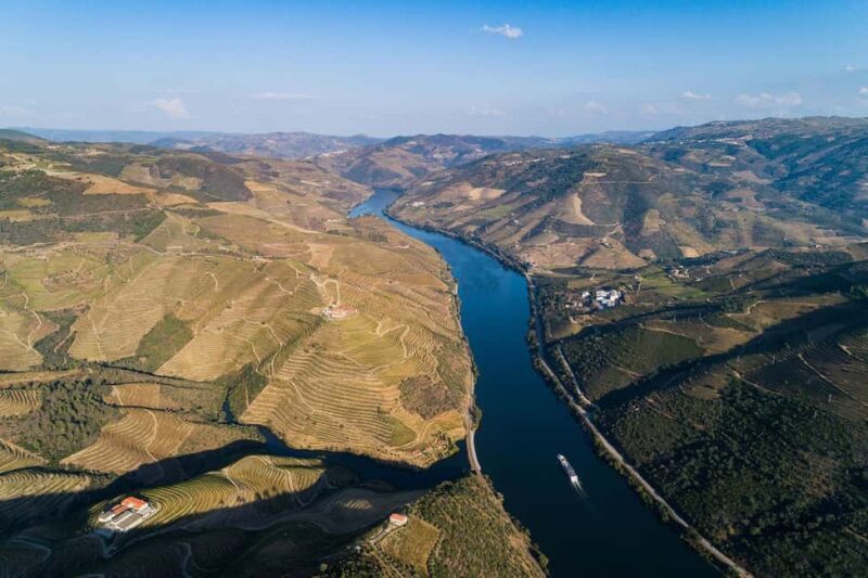 From Porto: Wine Tasting with Lunch at a Farm and Cruise - Key Points