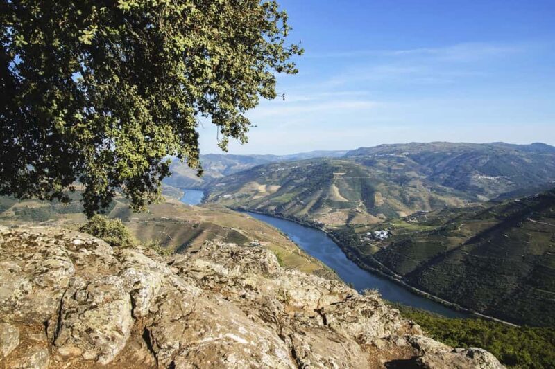 From Porto: Wine Tasting with Lunch at a Farm and Cruise - FAQs