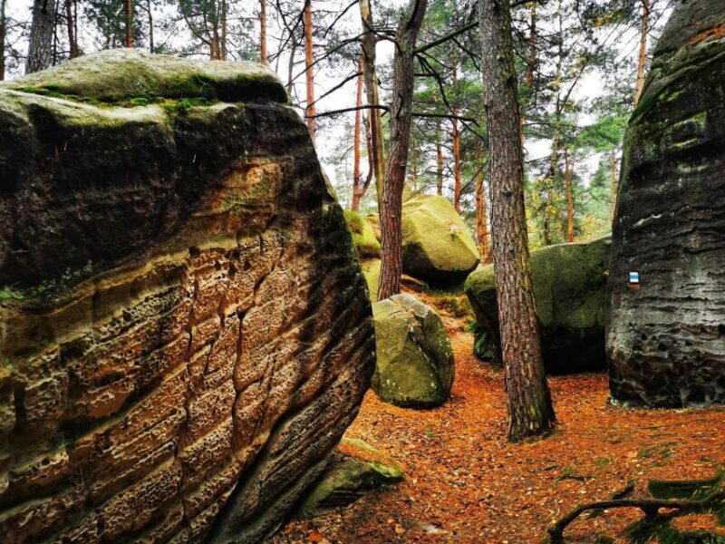 From Prague: Bohemian Paradise - Full-Day Hiking Trip - A Detailed Look at the Tour Experience