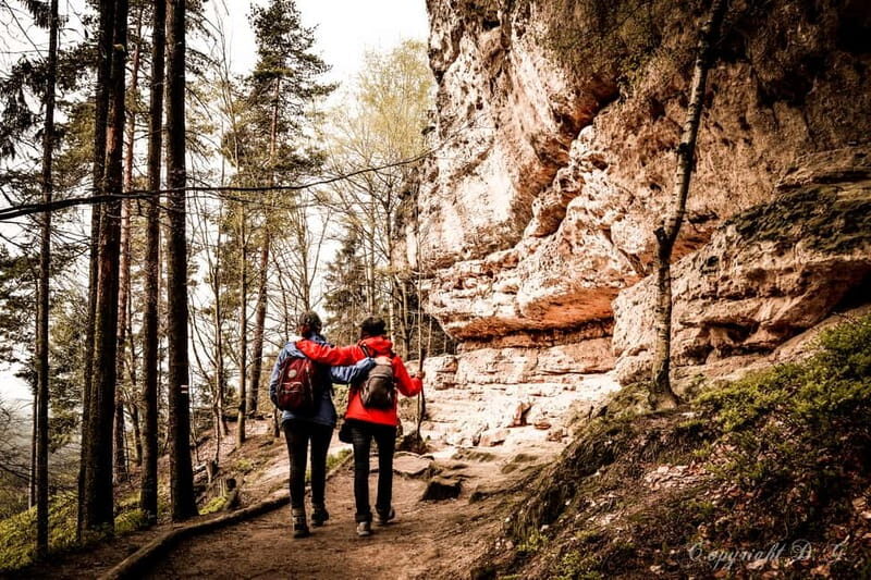 From Prague: Bohemian & Saxon Switzerland All-Inclusive Tour - The Sum Up