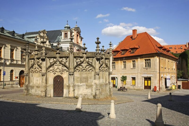 From Prague: Private Day Trip to Kutna Hora with Czech Lunch - Exploring Kutná Hora: A Detailed Look at What You’ll Experience