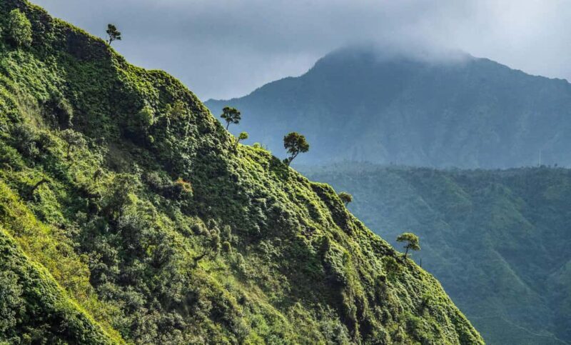 From Princeville: Discover Kauai Helicopter Tour - Key Points
