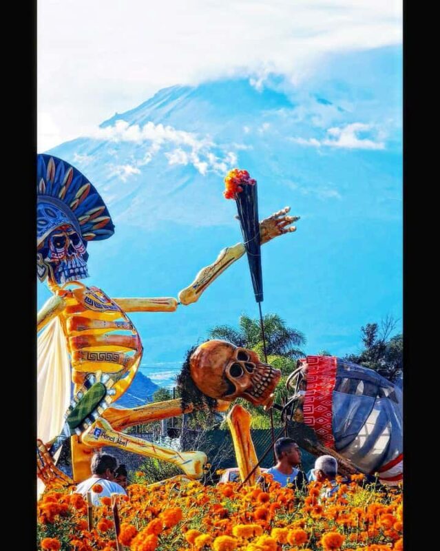 From Puebla: Atlixco and its Nurseries Tour - Key Points