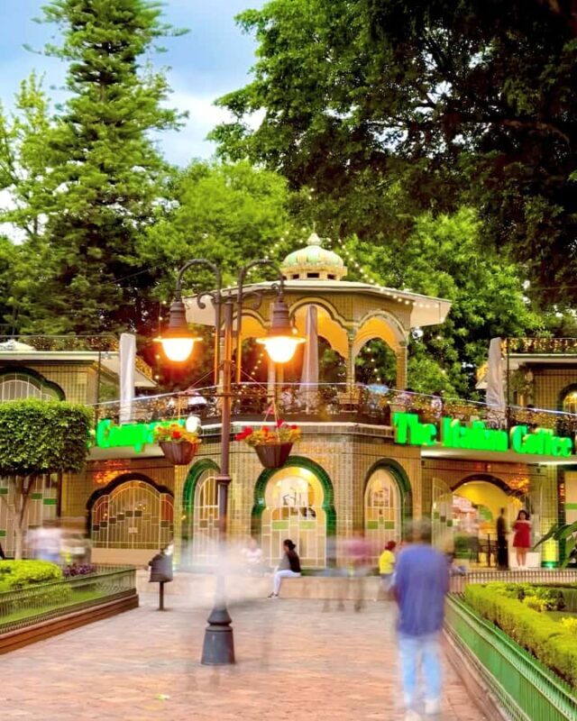 From Puebla: Atlixco and its Nurseries Tour - A Deep Dive into the Atlixco Nurseries Tour