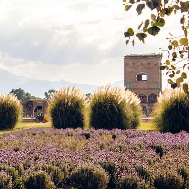 From Puebla: CHAUTLA AND VAL'QUIRICO PRIVATE TOUR - FAQ
