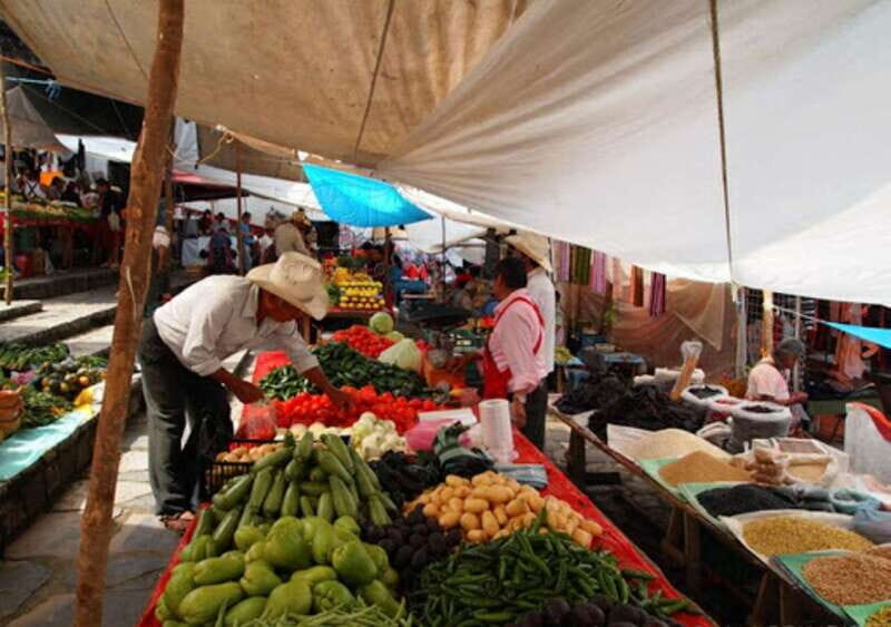 From Puebla: Cuetzalan & Yohualichan private all included - An Authentic Day Trip from Puebla to Cuetzalan & Yohualichan