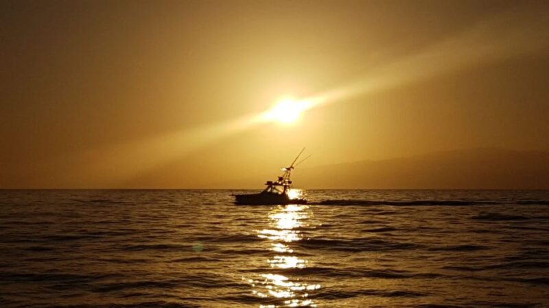 From Puerto Colón: Private Fishing Boat Charter with Lunch - Practicalities and What to Expect