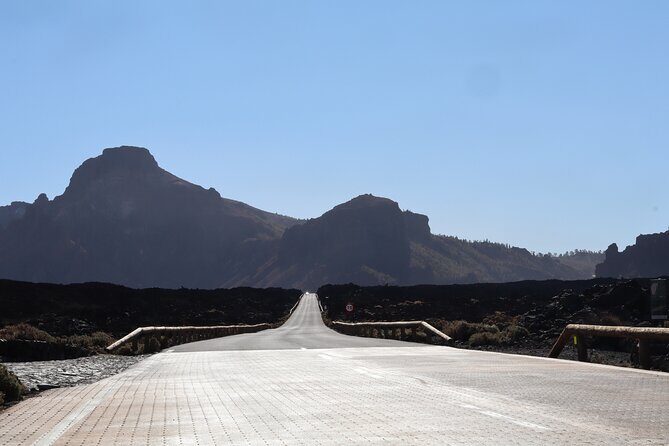 From Puerto de la Cruz: Quad Day Trip Volcano Teide National Park - Who Will Love This Tour?