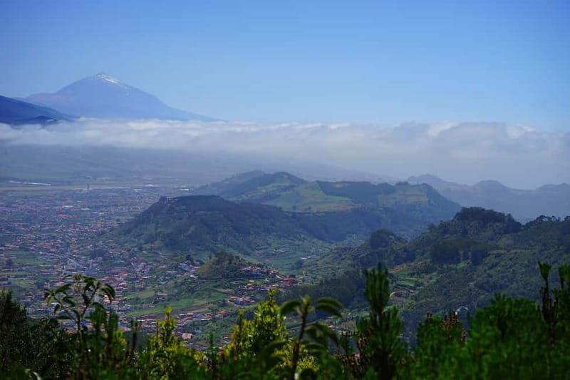 From Puerto de La Cruz: VIP Tour Around Anaga and La Laguna - A Deep Dive into the Experience