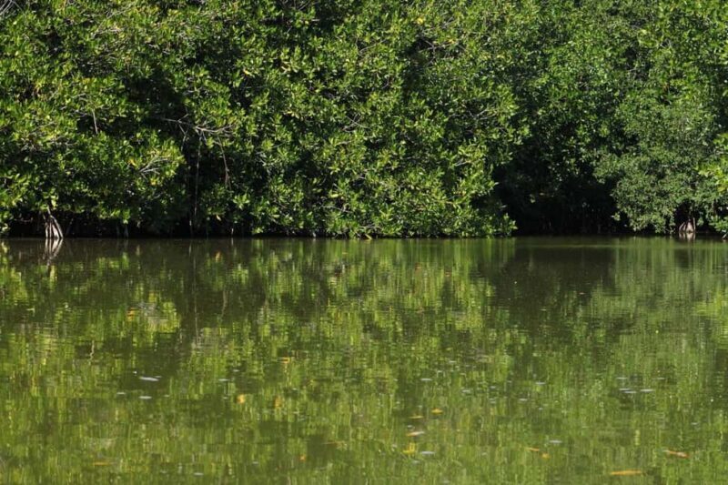 From Puerto Escondido: Day Trip to Chacahua National Park - Key Points