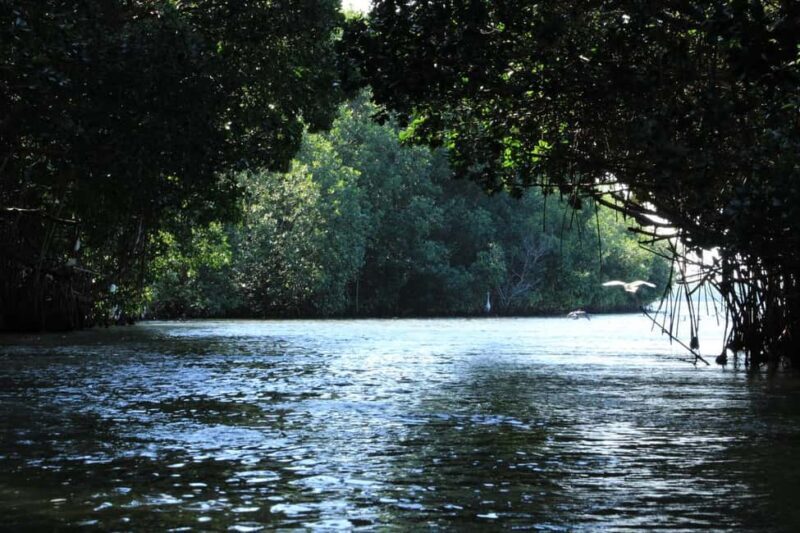 From Puerto Escondido: Day Trip to Chacahua National Park - Summary: Why This Tour Stands Out