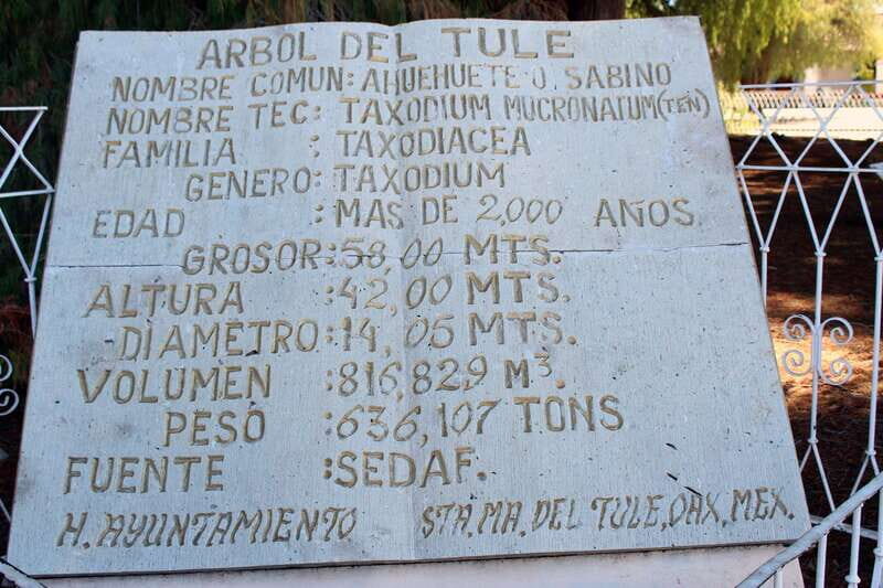 From Puerto Escondido: Gataway to Oaxaca in one day. - Final Thoughts
