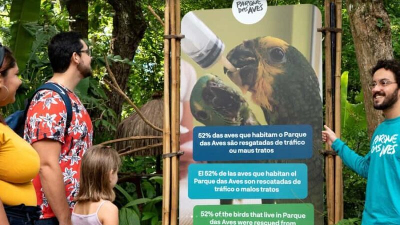 From Puerto Iguazú: Brazilian Bird Park Tour with Tickets - Practical Details and Tips for Visitors