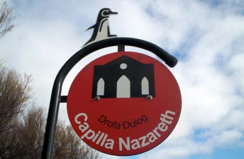 From Puerto Madryn: City and Punta Loma Tour - FAQ