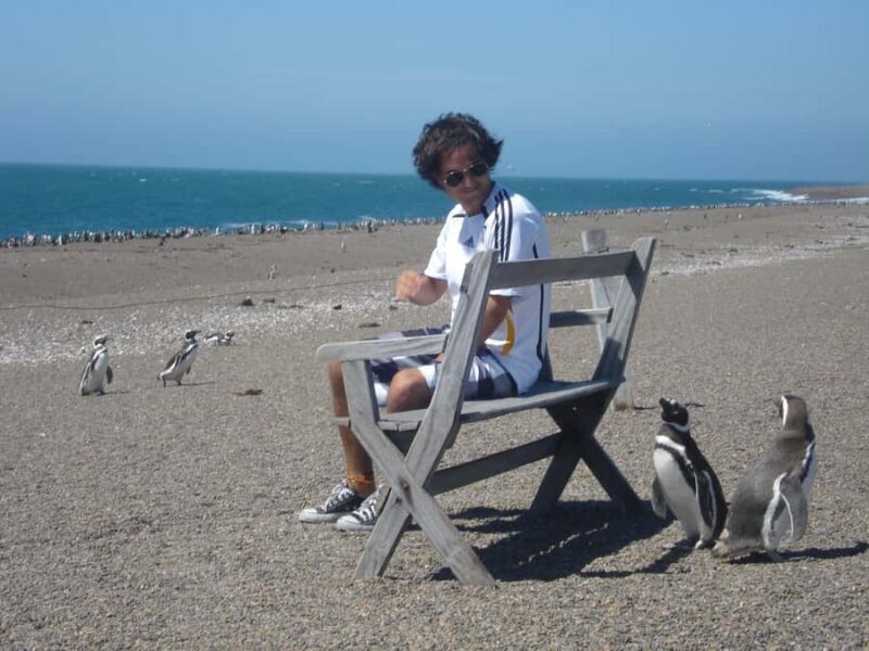 From Puerto Madryn: Penguin Tour & Península Valdés Day Trip - From Puerto Madryn: Penguin Tour & Península Valdés Day Trip