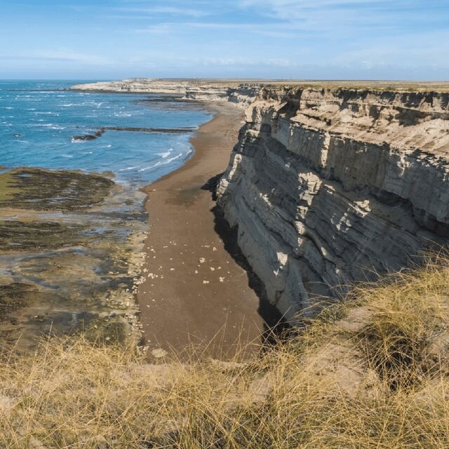 From Puerto Madryn: Peninsula Valdés Shore Excursion - FAQ