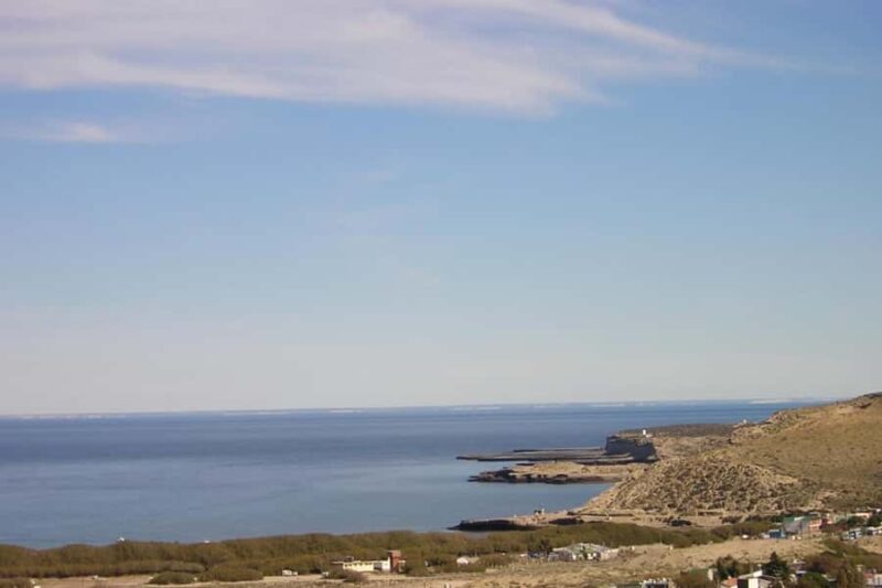 From Puerto Madryn: Punta Tombo Day Trip with Hotel Transfer - Key Points
