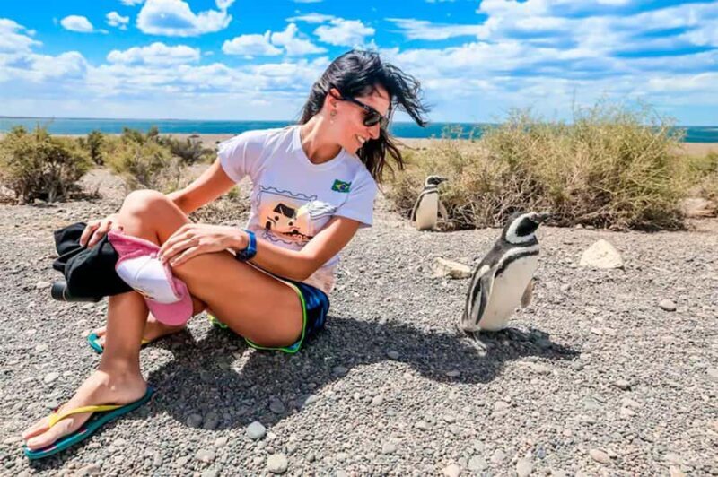 From Puerto Madryn: Punta Tombo Day Trip with Hotel Transfer - Frequently Asked Questions