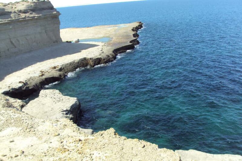 From Puerto Madryn: Valdes Peninsula Full-Day Tour - In-Depth Review of the Valdes Peninsula Full-Day Tour