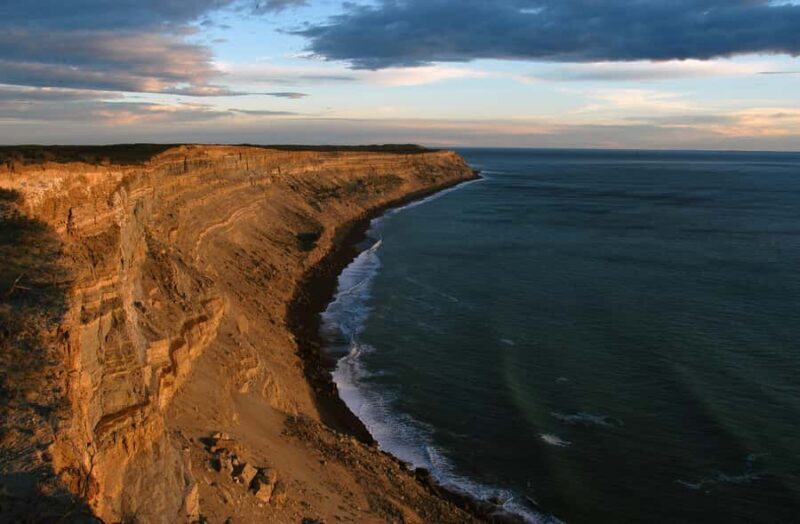 From Puerto Madryn: Valdes Peninsula Full-Day Tour - Puerto Piramides and Optional Whale Watching