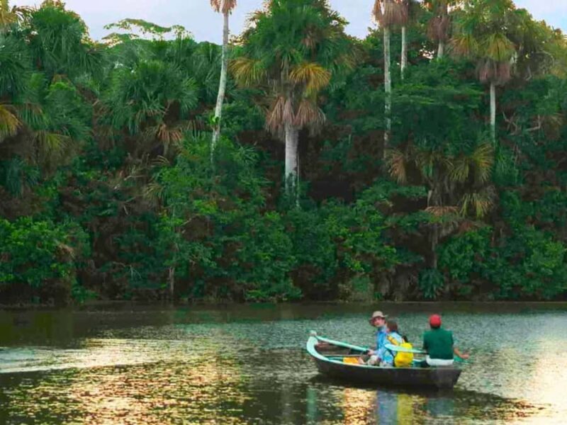 From Puerto Maldonado: 1 day Kayak + Monkey Island excursion - Authentic, Well-Rounded Jungle Experience