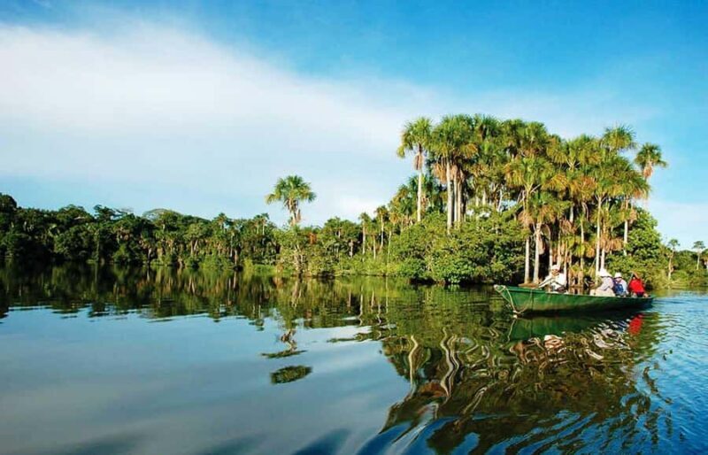 From Puerto Maldonado: 4-Day Excursion /wildlifesearch - Who Should Consider This Tour?