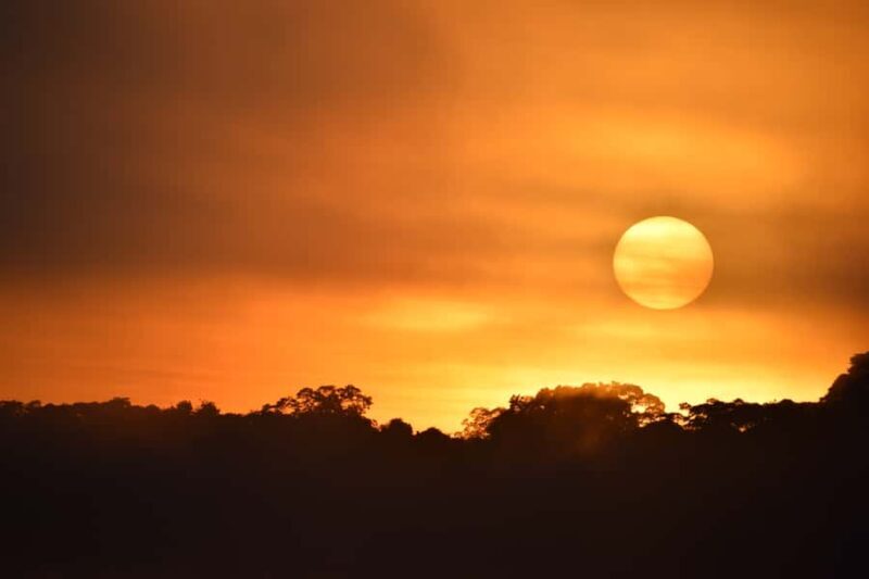 From Puerto Maldonado: 4-Day Excursion /wildlifesearch - The Itinerary in Detail