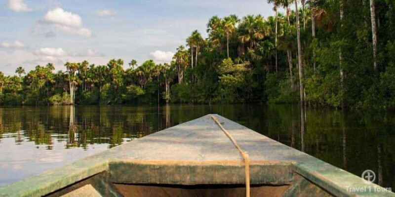 From Puerto Maldonado || Jungle Hiking + Sandoval Lake || - Puerto Maldonado: Jungle Hiking & Sandoval Lake — An Adventure for the Curious