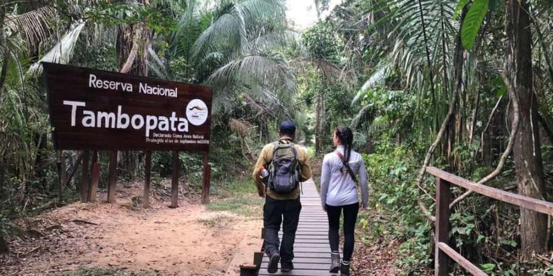 From Puerto Maldonado || Jungle Hiking + Sandoval Lake || - Key Points