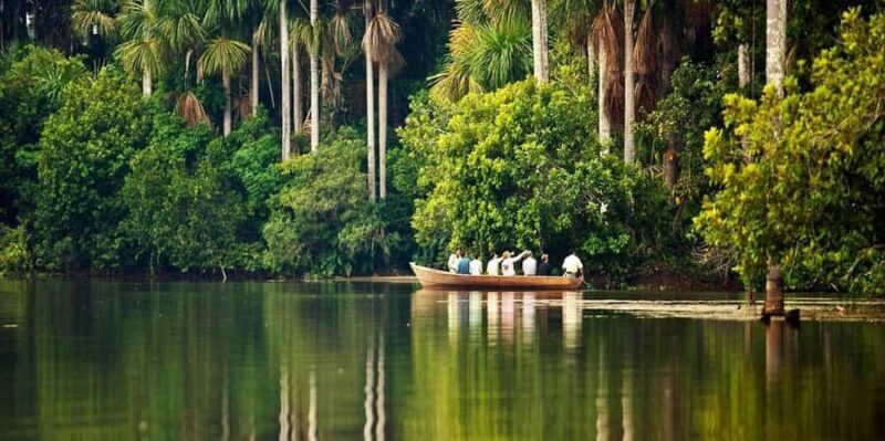 From Puerto Maldonado || Jungle Hiking + Sandoval Lake || - The Value of This Tour