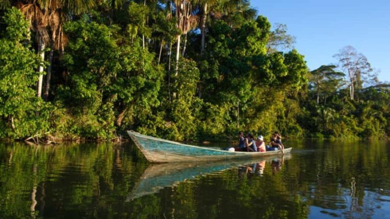From Puerto Maldonado || Jungle trekking + Sandoval Lake || - Key Points