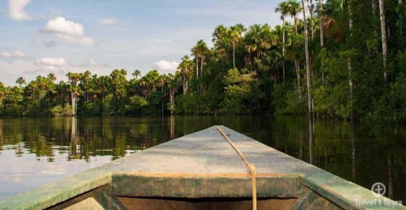 From Puerto Maldonado || Jungle trekking + Sandoval Lake || - Who Will Enjoy This Tour?