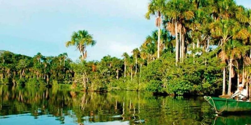 From Puerto Maldonado || Jungle trekking + Sandoval Lake || - Final Thoughts: Is this tour right for you?