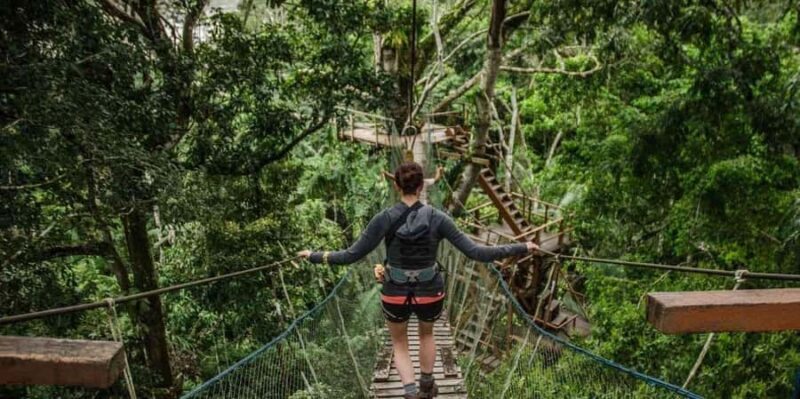 From Puerto Maldonado: Reserva Tambopata 4-Day + Zipline - Deep Dive: What Makes This Tour Stand Out?