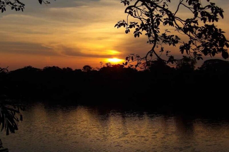 From Puerto Maldonado || Sunset boat ride for 3 hours || - An In-Depth Look at the Sunset Boat Ride