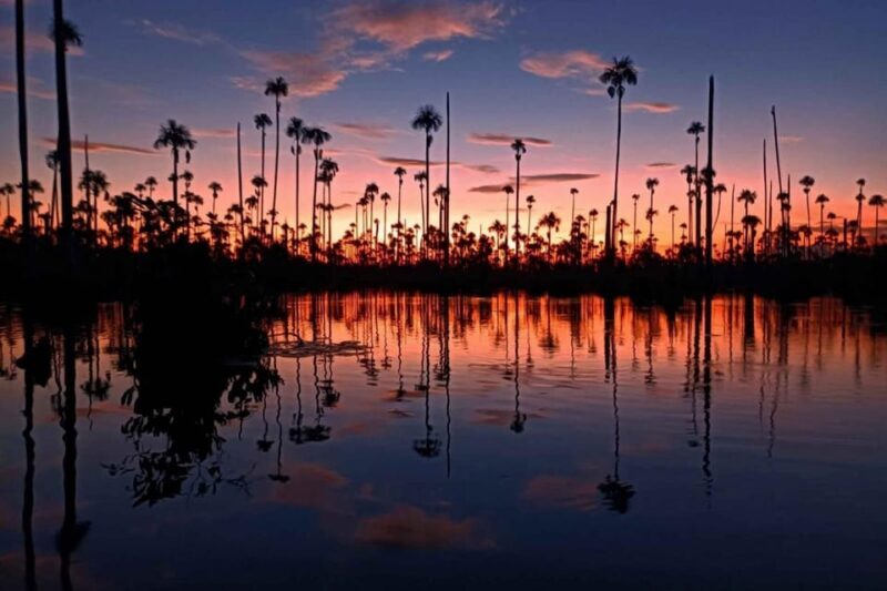 From Puerto Maldonado || Sunset boat ride for 3 hours || - FAQ