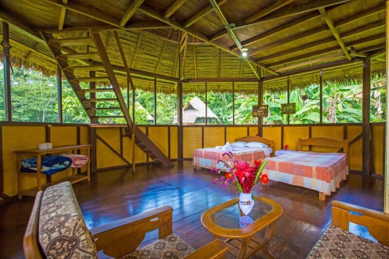 From Puerto Maldonado: Tambopata National Reserve 2-Day Tour - Final Thoughts