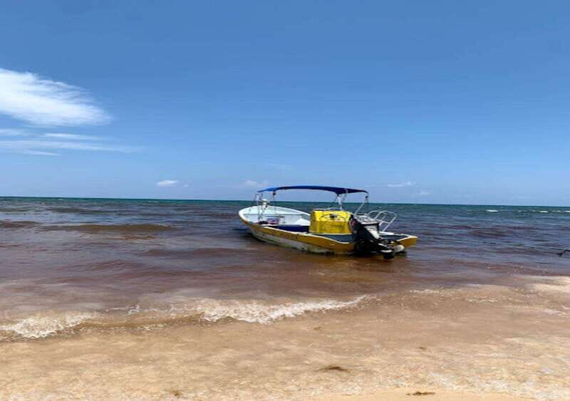 From Puerto Morelos: Lagoon k'an luum - Authentic Experience: What Travelers Say