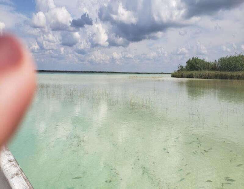 From Puerto Morelos: Lagoon k'an luum - Practical Tips for Your Visit