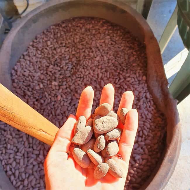 From Puerto Plata Priv: Cocoa, Coffee, Cigars & Local Market - Practical Details and Value