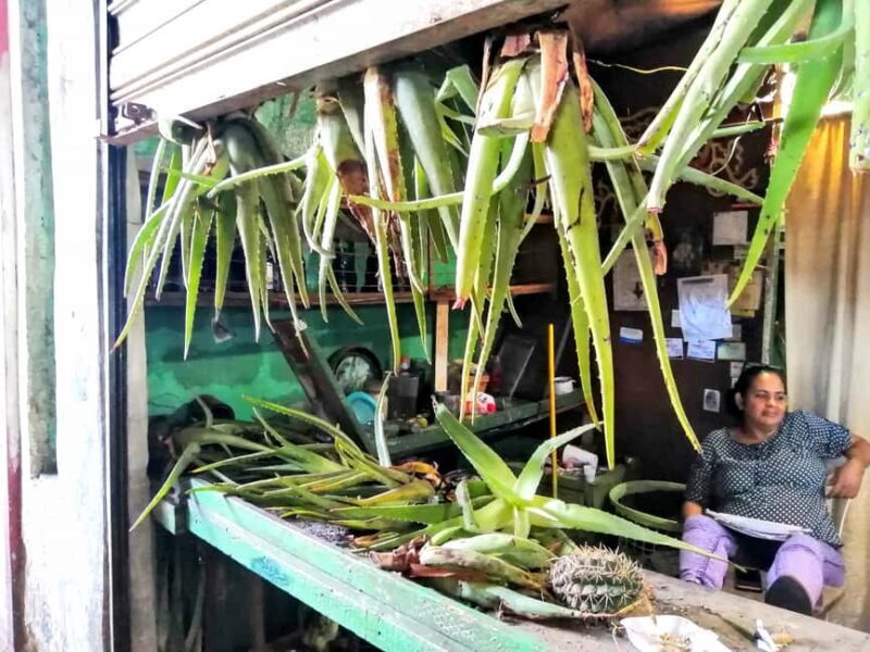 From Puerto Plata Priv: Cocoa, Coffee, Cigars & Local Market - Who Will Enjoy This Tour Most?