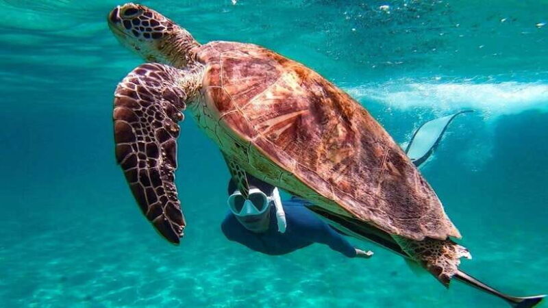 From Puerto Princesa: Port Barton & Island Hopping Day Trip - Key Points